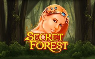 Secret Forest Secret Forest